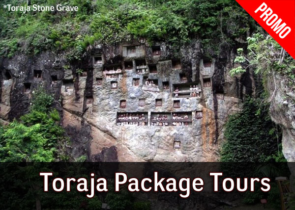 toraja-tours-travel-stone-grave