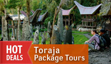 toraja package tours